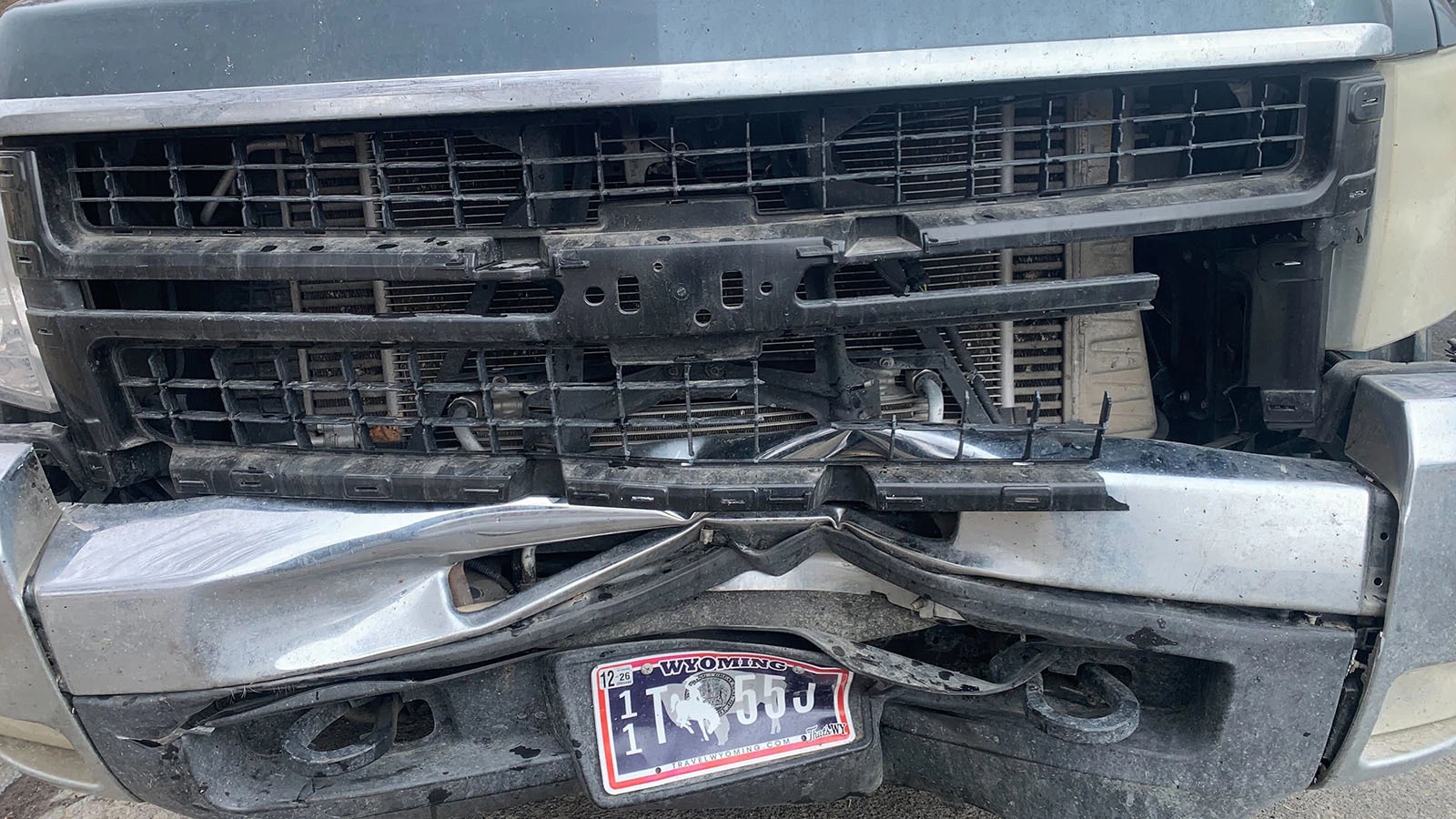 Powell resident Pete Pepping says he did everything he could to avoid hitting a 200-pound Great Dane/mastiff mix on U.S. Highway 14A. He refutes claims by commenters who accuse him of “leaving the dog there to die."