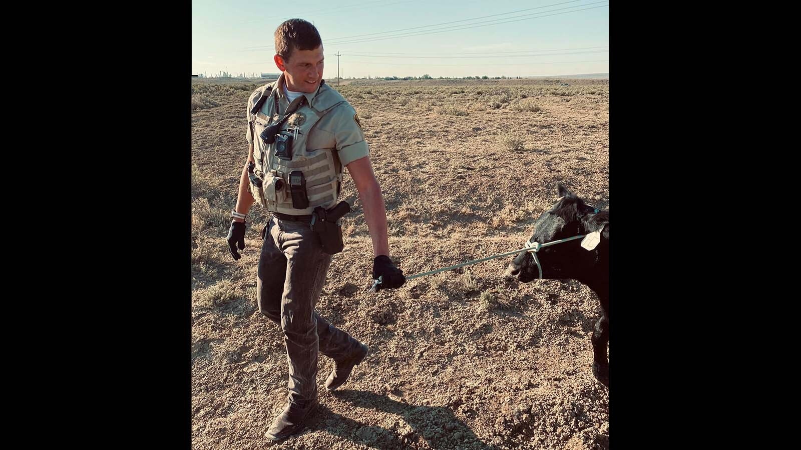 In Wyoming, responding to calls about escapped cattle and livestock are just part of the job for rural law enforcement.