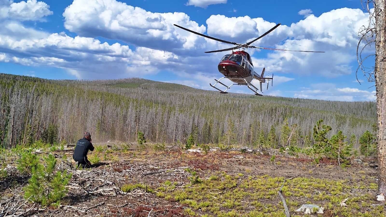 An already-busy year for Carbon County Search and Rescue got busier Monday when a mushroom hunter was stranded with a severely injured ankle deep in the Medicine Bow National Forest.