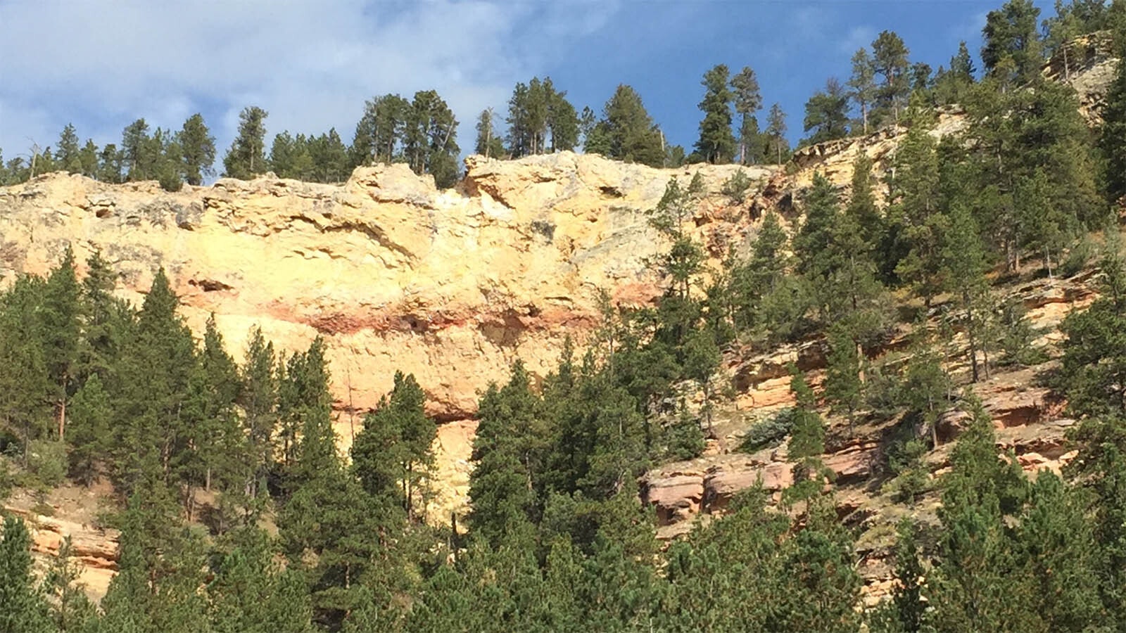 The Office of State Lands and Investments is fueding with ranchers near a 4,800-parcel of state-owned land it leases for grazing. The land isn't fenced, and it wants the local sheriff to issue trespassing tickets to ranchers whose cattle wander onto the parcel, but the sheriff has refused.