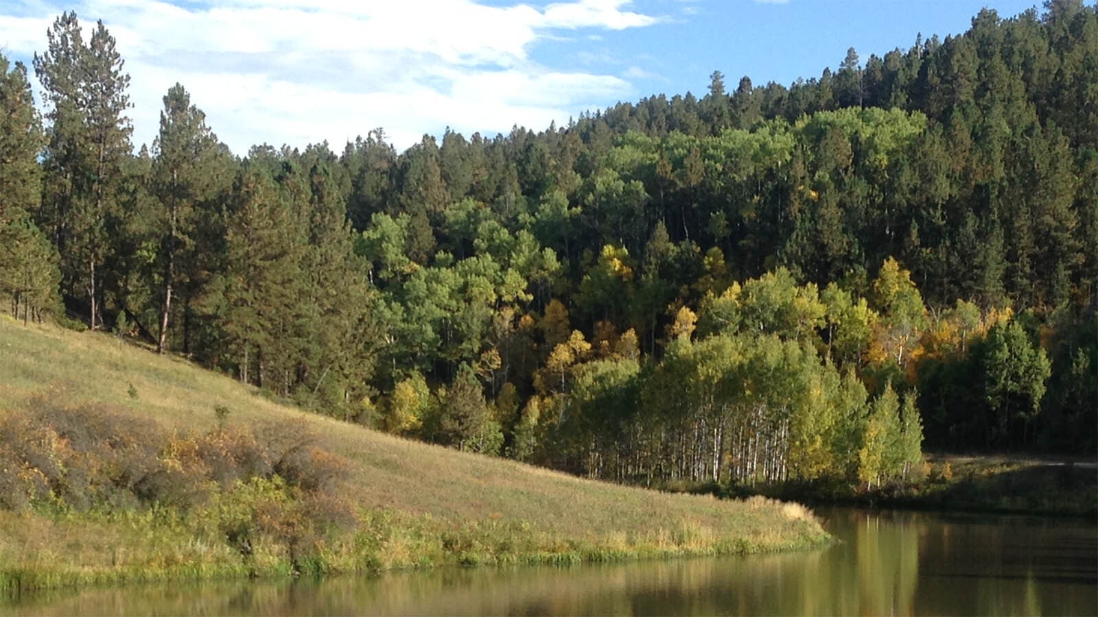 The Office of State Lands and Investments is fueding with ranchers near a 4,800-parcel of state-owned land it leases for grazing. The land isn't fenced, and it wants the local sheriff to issue trespassing tickets to ranchers whose cattle wander onto the parcel, but the sheriff has refused.