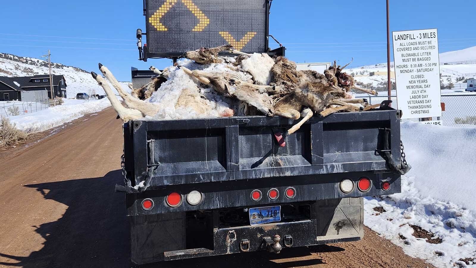 The Wyoming Game and Fish Department has set up dumpsters in several locations in the Sheridan-Buffalo area, where hunters can dump big game carcasses.