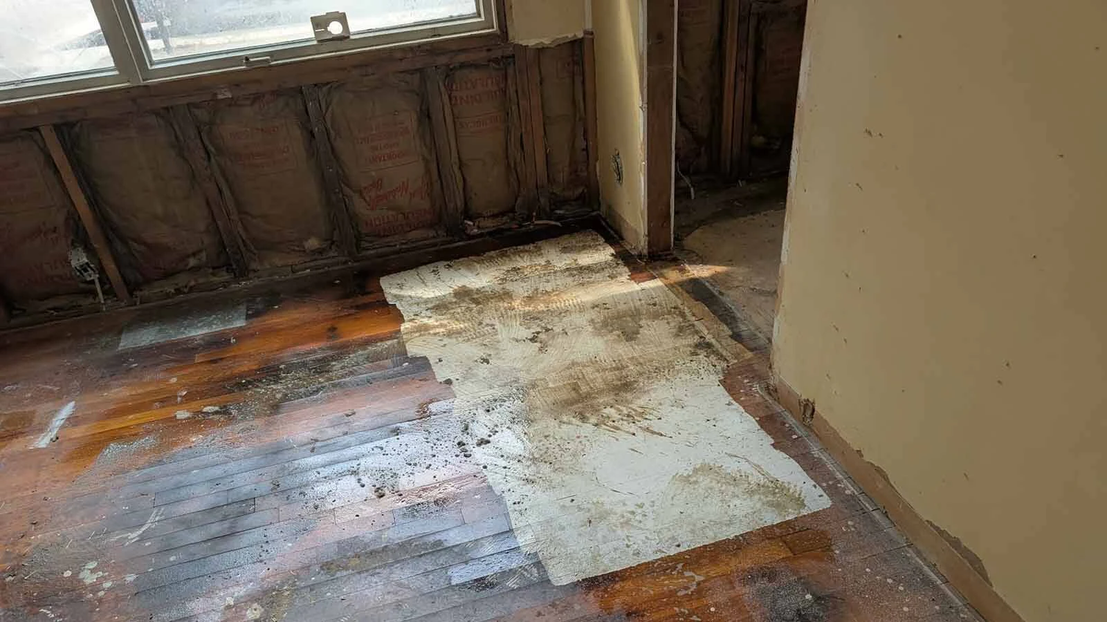 Dustin Crapo said cat urine had soaked through carpeting and padding, requiring extensive cleaning and removal during the remodel.