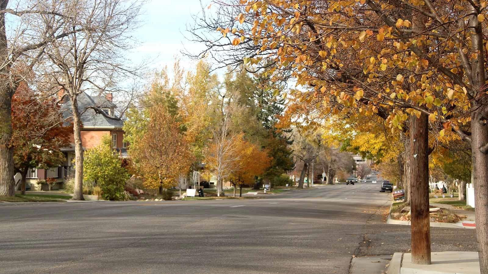 Mature trees and fall colors line Wolcott Street in Casper, where thousands of trick-or-treaters descend each Halloween.