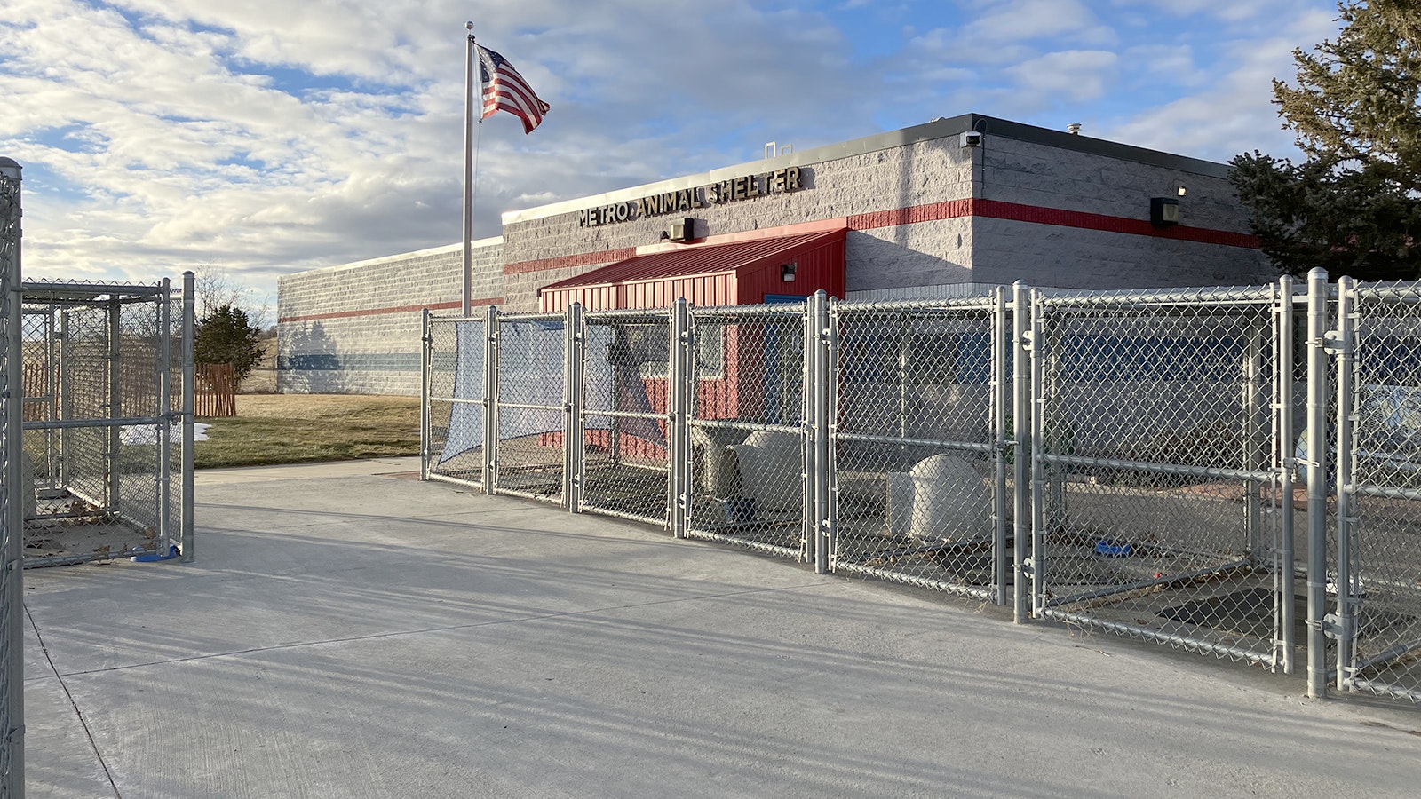 Twenty-two animals taken from a north Casper home are rehabilitating at the Metro Animal Shelter.