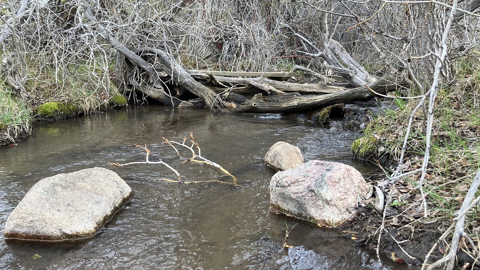 Squaw Creek at the base of Casper Mountain ran clear and fast as residents from the region explored the School Section that could be impacted by proposed gravel mining.