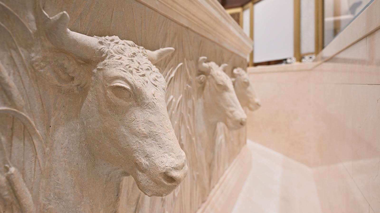 A baptismal font inside the Casper, Wyoming, LDS temple. The oxen around it represents the migration west of church members in the 19th century with carts and wagons pulled by oxen.