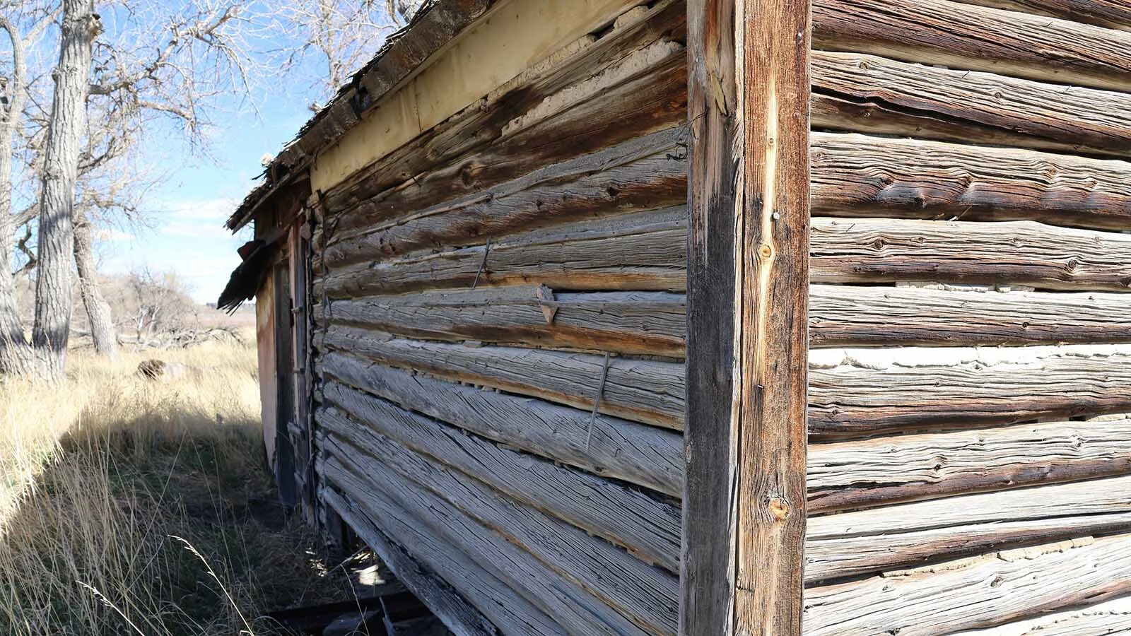 Casper’s first cabin was made of logs likely cut from trees near Casper Mountain or on the mountain.