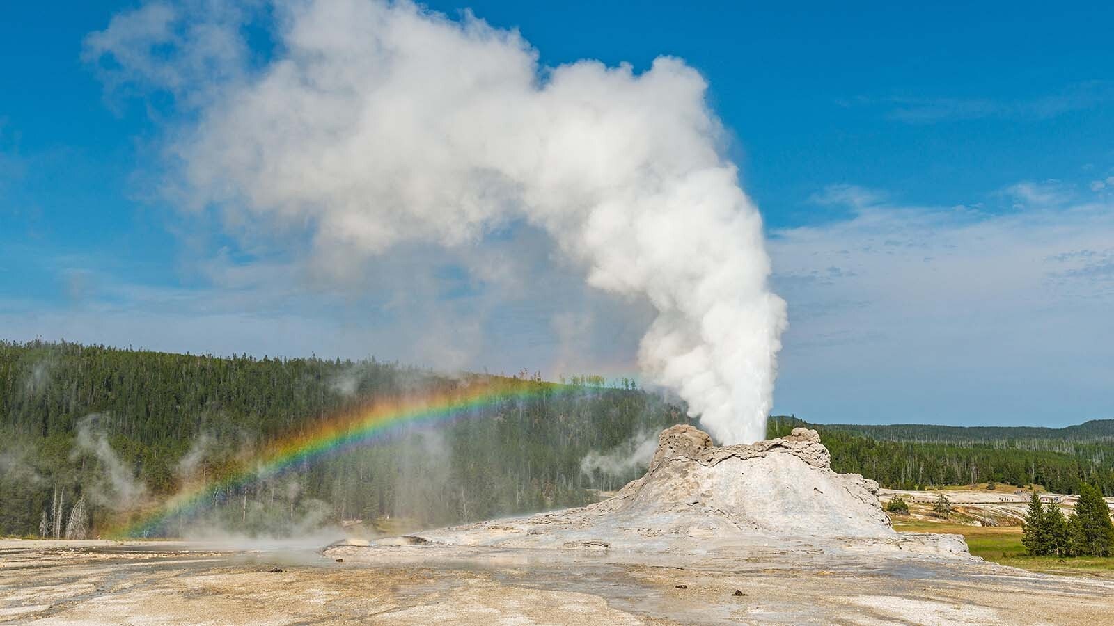 New research in Yellowstone National Park has found a connection between earthquake swarms and the chemical reactions needed to sustain subsurface microbial systems. It's an insight into the possible origins of life on Earth. Above is a view of Castle Geyser blowing off steam.