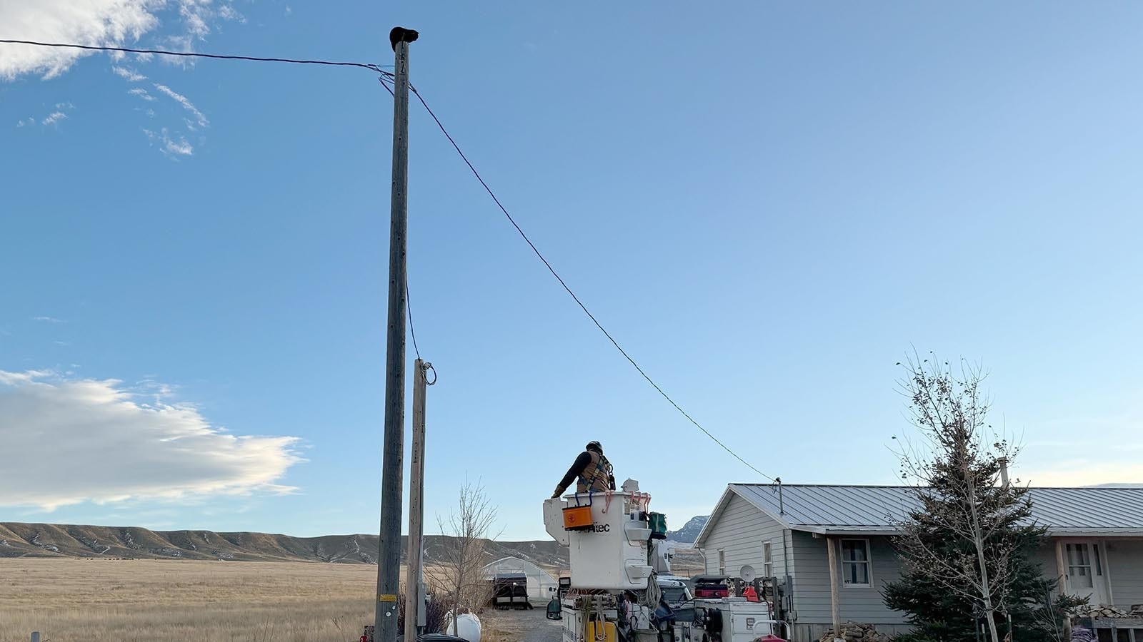 Electric lineman Jeff Matthews prepares to rescue a black cat south of Cody. Unlike a cat on a hot tin roof, this cool cat was eager to get off the cold, blustery power pole.