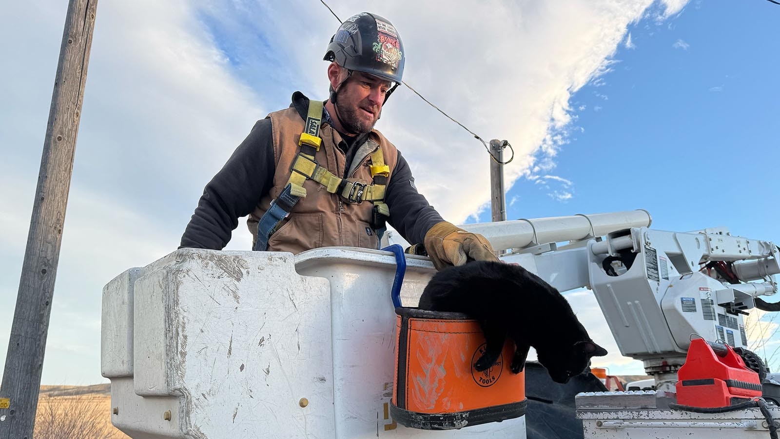 Rocky Mountain Power electric lineman Jeff Matthews descends with the black cat he rescued from a power pole south of Cody. A cat in gloves catches no mice, but the lineman with a hardhat and safety harness successfully rescued the fraidy cat without incident.