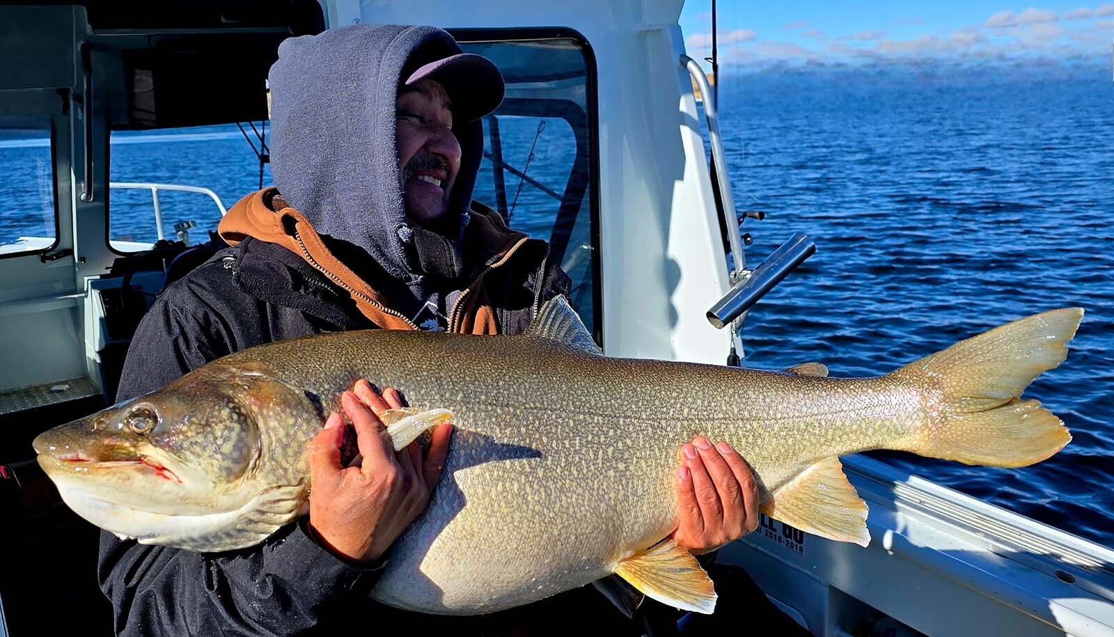 Some gigantic old lake trout on Flaming Gorge Reservoir might have hook or drag line scars decades old.