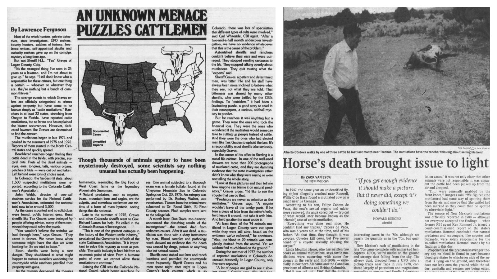 Left, the Casper Star-Tribune carried an article in October 1977 showing the extent of the cattle mutilation across the nation. Right, the Santa Fe New Mexican reported on cattle mutilations in September 1994.