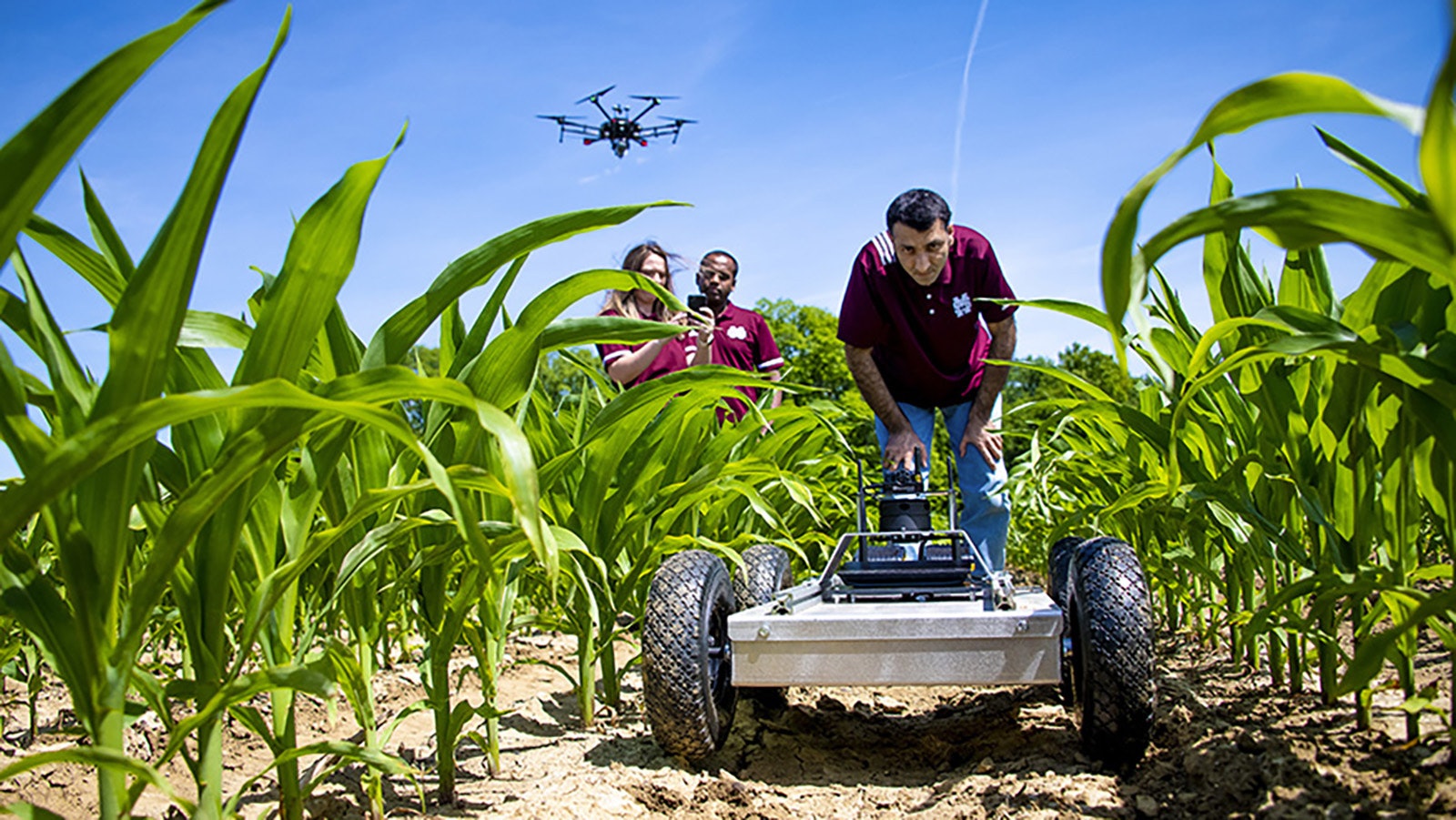 Mississippi State University researchers follow an agricultural drone as it tends to a corn field.