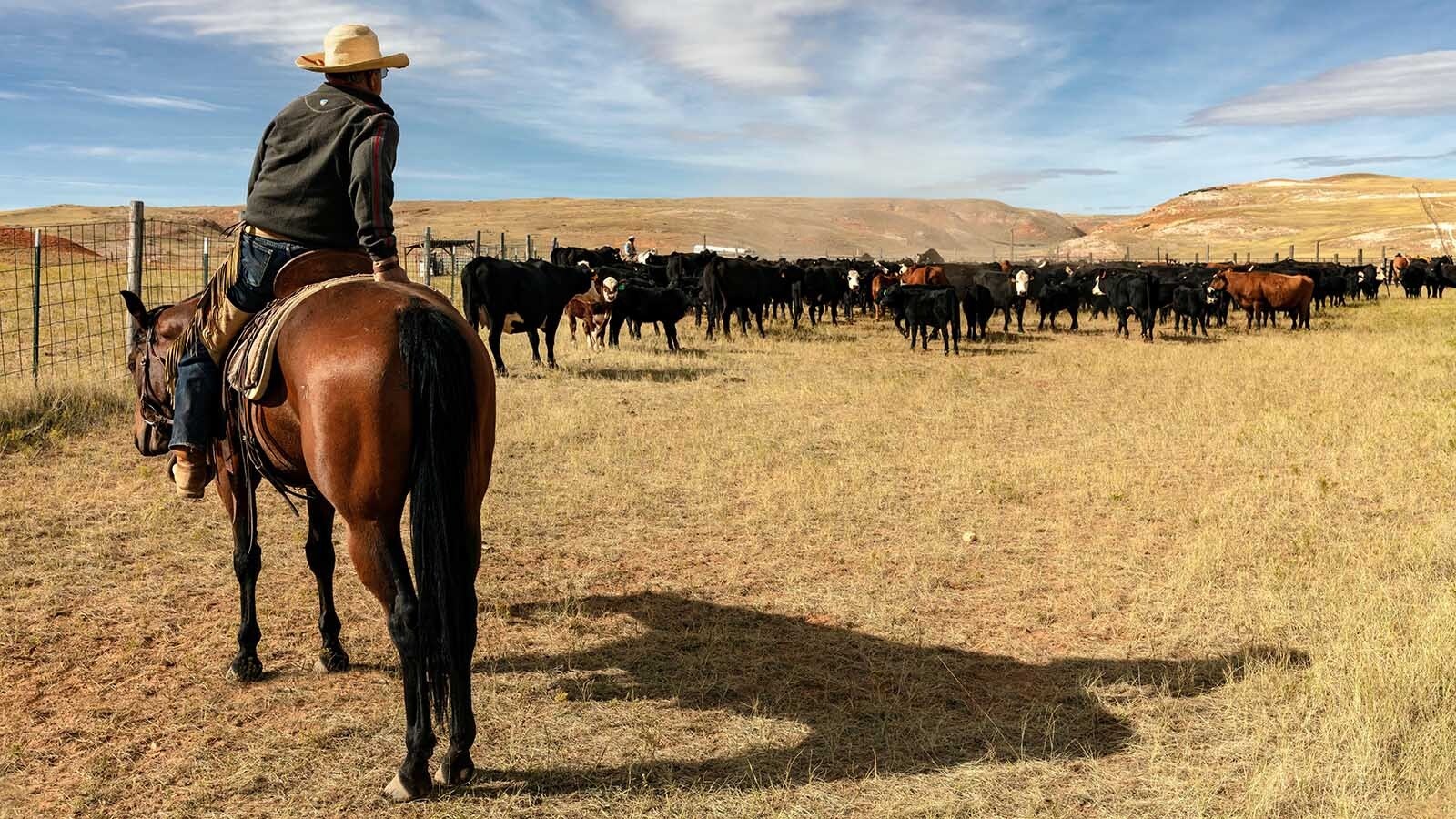 Record beef prices are reshaping the ranching landscape as aging ranchers weigh cashing out and selling off their herds. Others are holding on for another profitable year, creating the tightest ranch real estate market in decades.