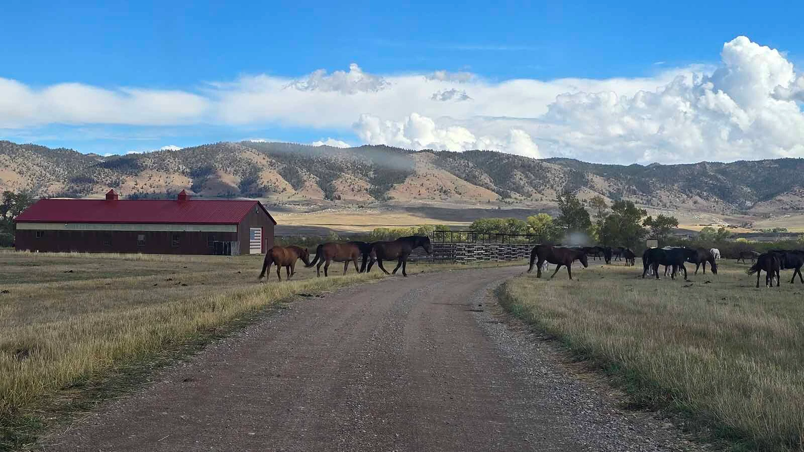 The Deerwood Ranch, where wild horses roam the Centennial Valley. The owners of the ranch consider themselves part of the unincorporated Centennial, which is celebrating its 150th anniversary.