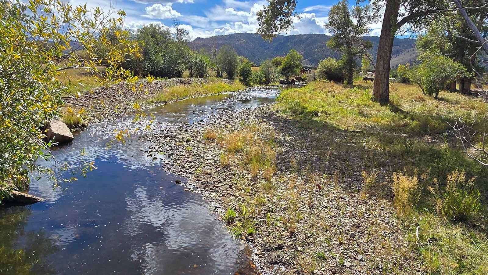 Beauty in the Centennial Valley is everywhere a visitor looks. Here, a small creek meanders on the Deerwood Ranch, where wild horses roam.