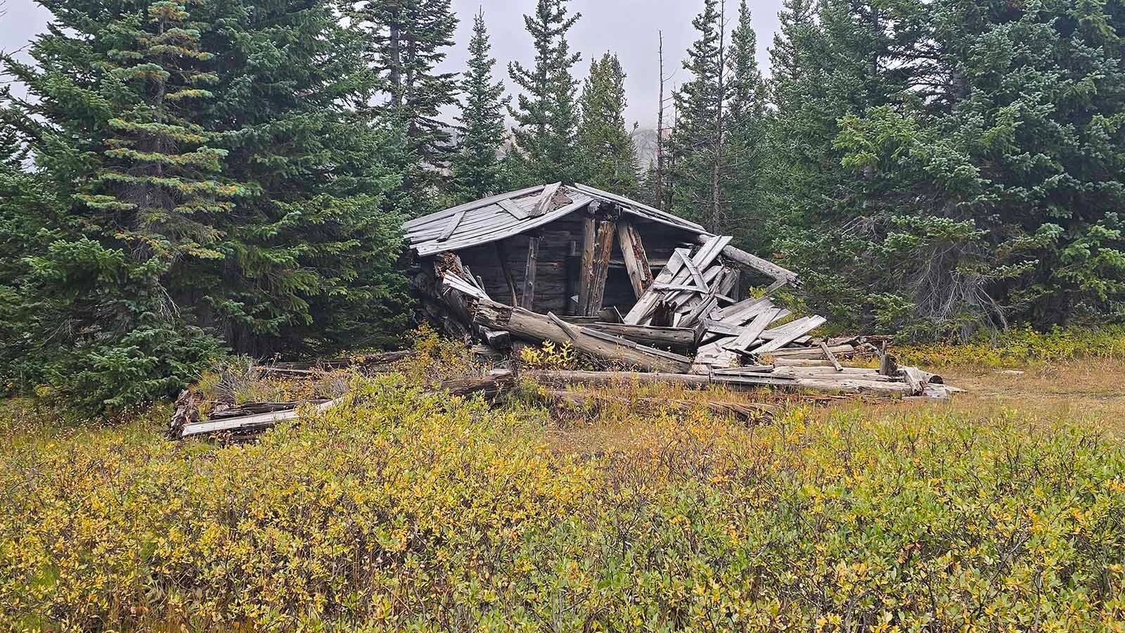 A cabin from Centennial's gold mining era quietly falls apart in the Medicine Bow Forest. A gold rush helped establish the small, unincorporated mountain community in 1876, which is now celebrating 150 years.