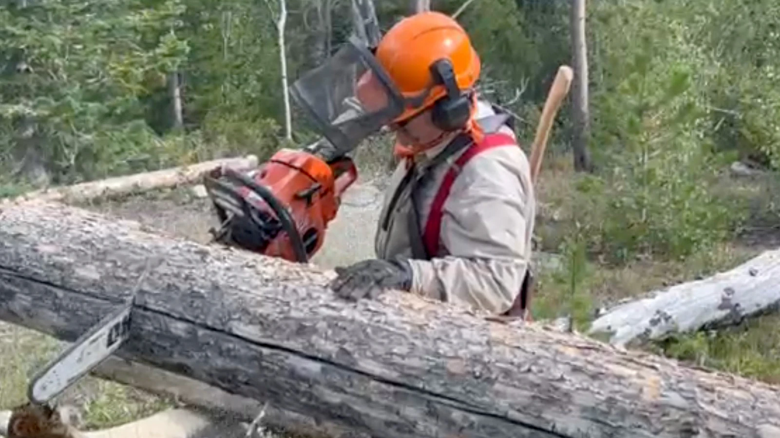 Some say chainsaws should be allowed wilderness areas to clear trails of dead trees. Others argue that wilderness is no place for machinery of any kind.
