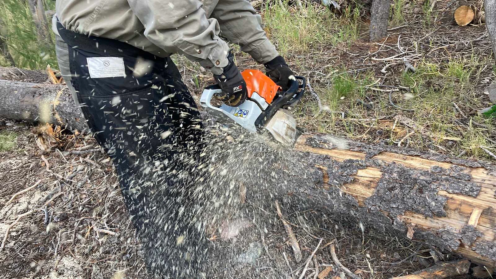 Some say chainsaws should be allowed wilderness areas to clear trails of dead trees. Others argue that wilderness is no place for machinery of any kind.