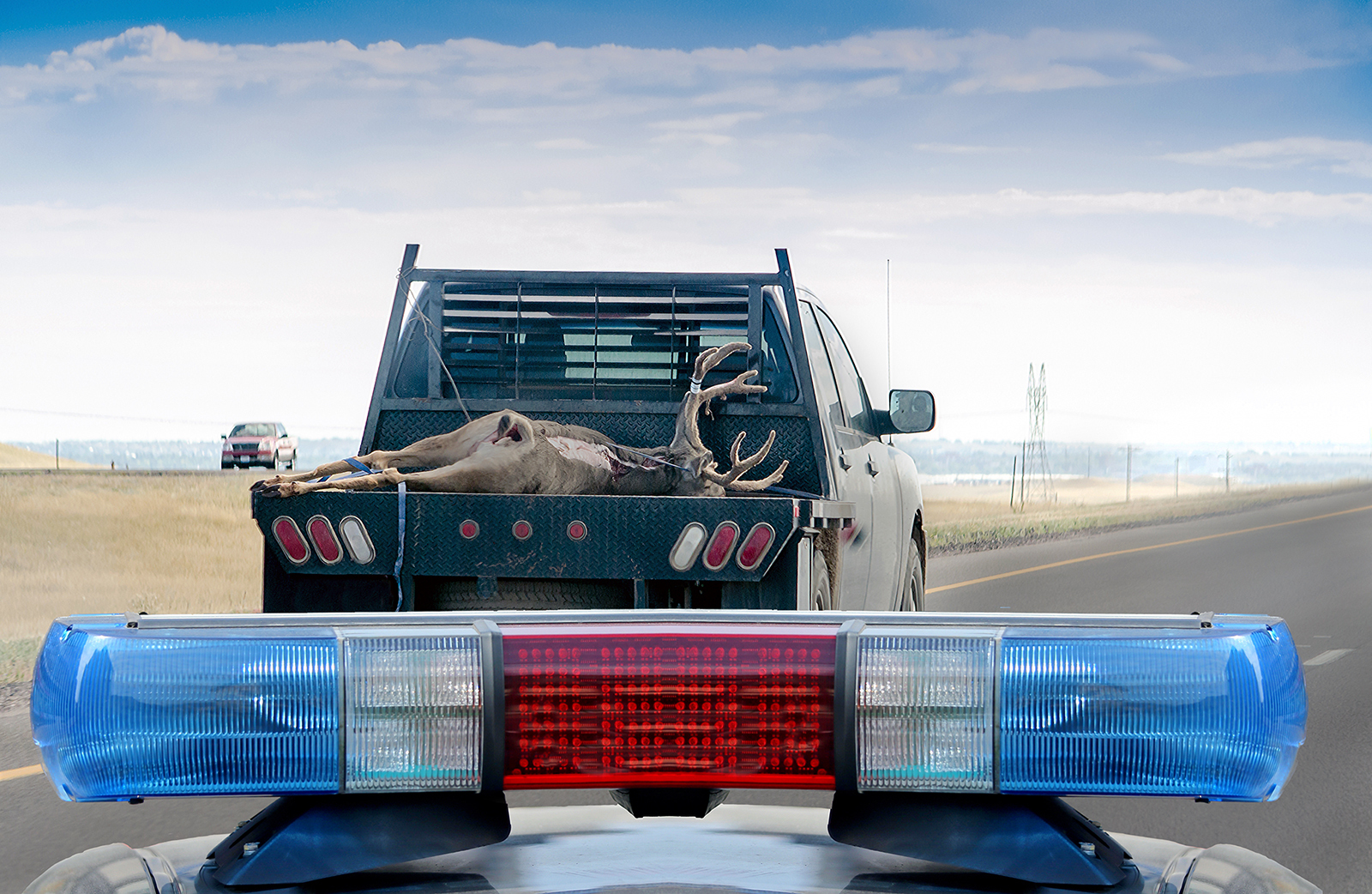 Chasing poacher illustration