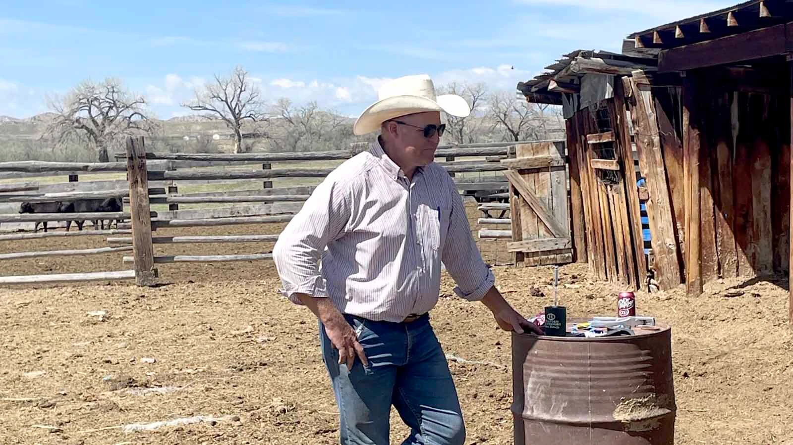 Chip Axtell told Cowboy State Daily that approximately 20% of his ranch and farm have been taken over by cheatgrass. The invasive weed has worsened the drought conditions by taking the moisture from native grasses. When cheatgrass dies in June, it no longer has any value for grazing.