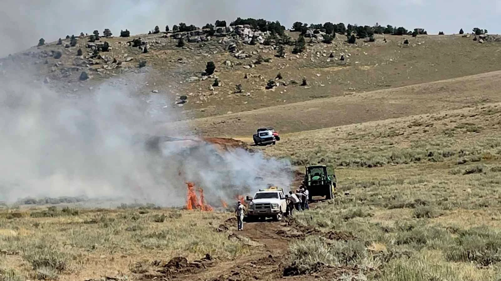 The Red Canyon fire from August 2025 created a disturbance that will help cheatgrass to grow and take over the burned areas. Over $8 million is being used to prevent the cheatgrass takeover.