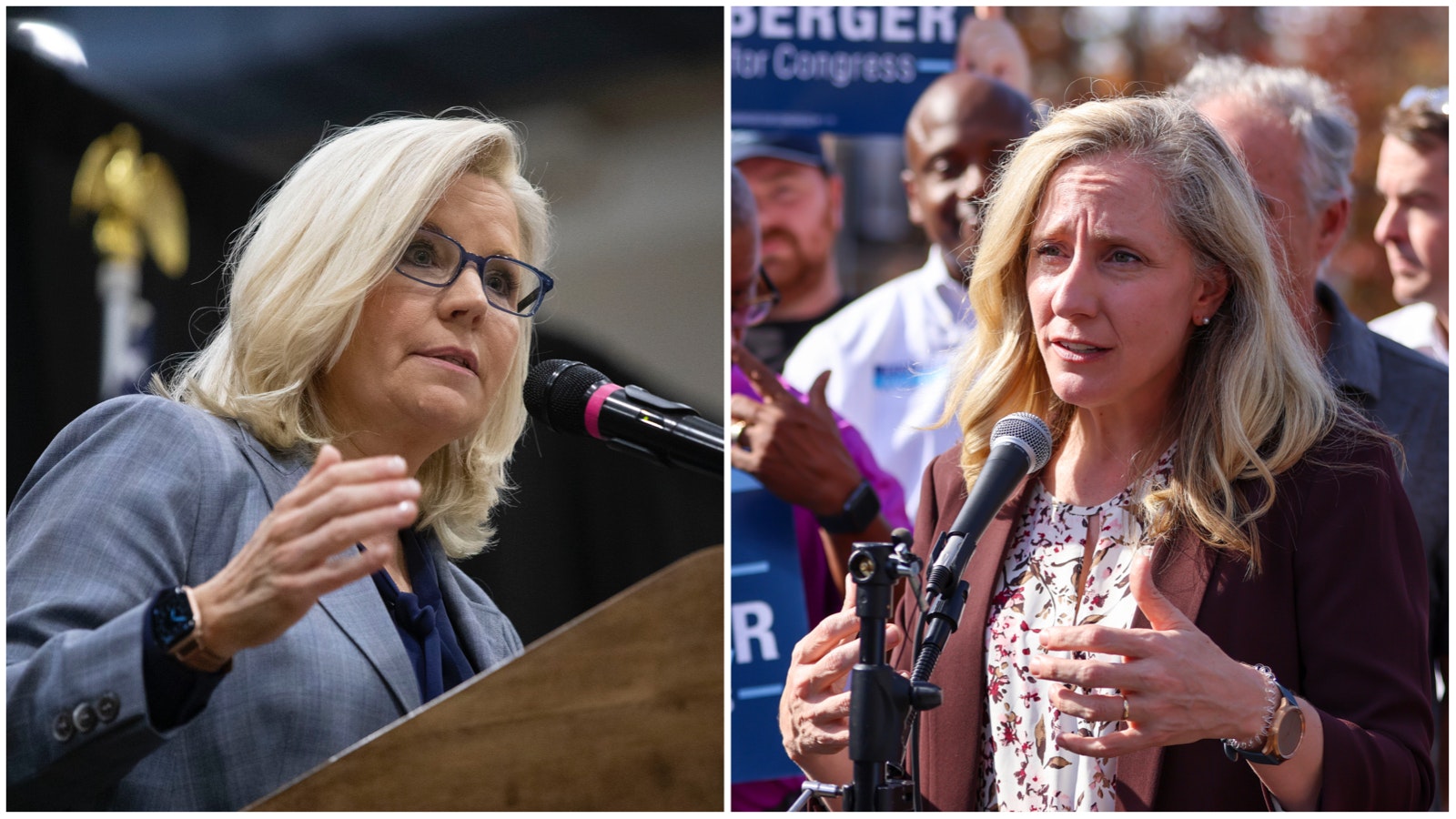 Cheney and Spanberger 11 7 22