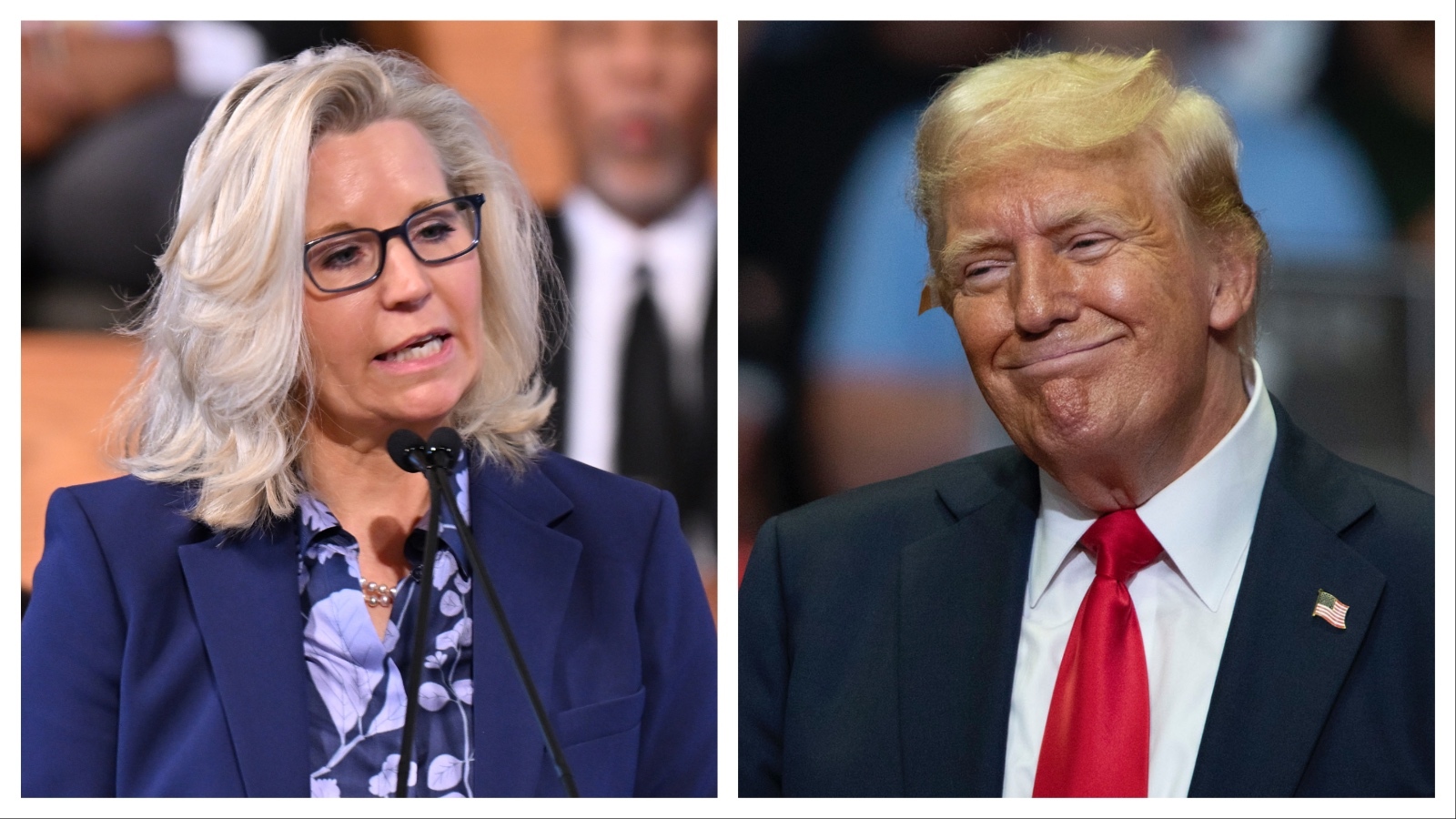 Cheney and trump 7 25 24