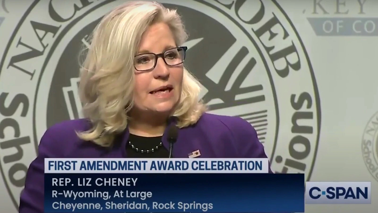 Cheney award speech