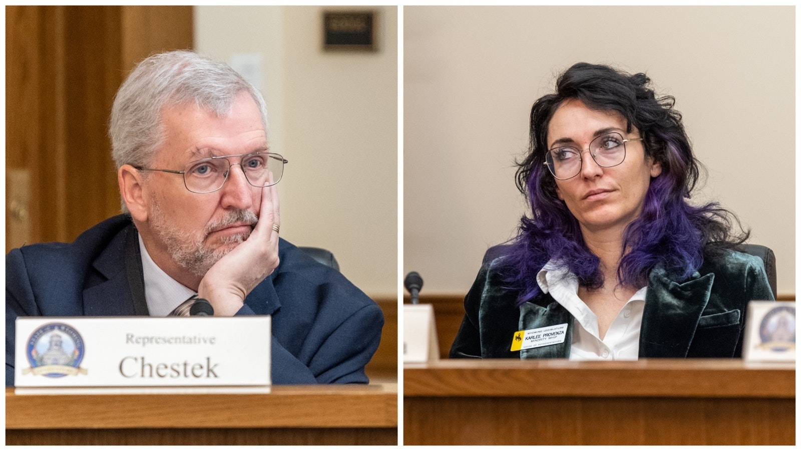 State Reps. Ken Chester and Karlee Provenza, both D-Laramie.
