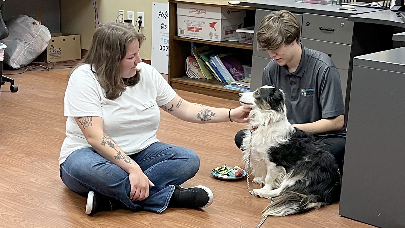 Chewy, a 5-year-old border collie mix, seems to like being scratched by Kayla Hahn at the Cheyenne Animal Shelter on Wednesday morning. He also was eager to scarf down chunks of cheese from Cal Drudge, right.