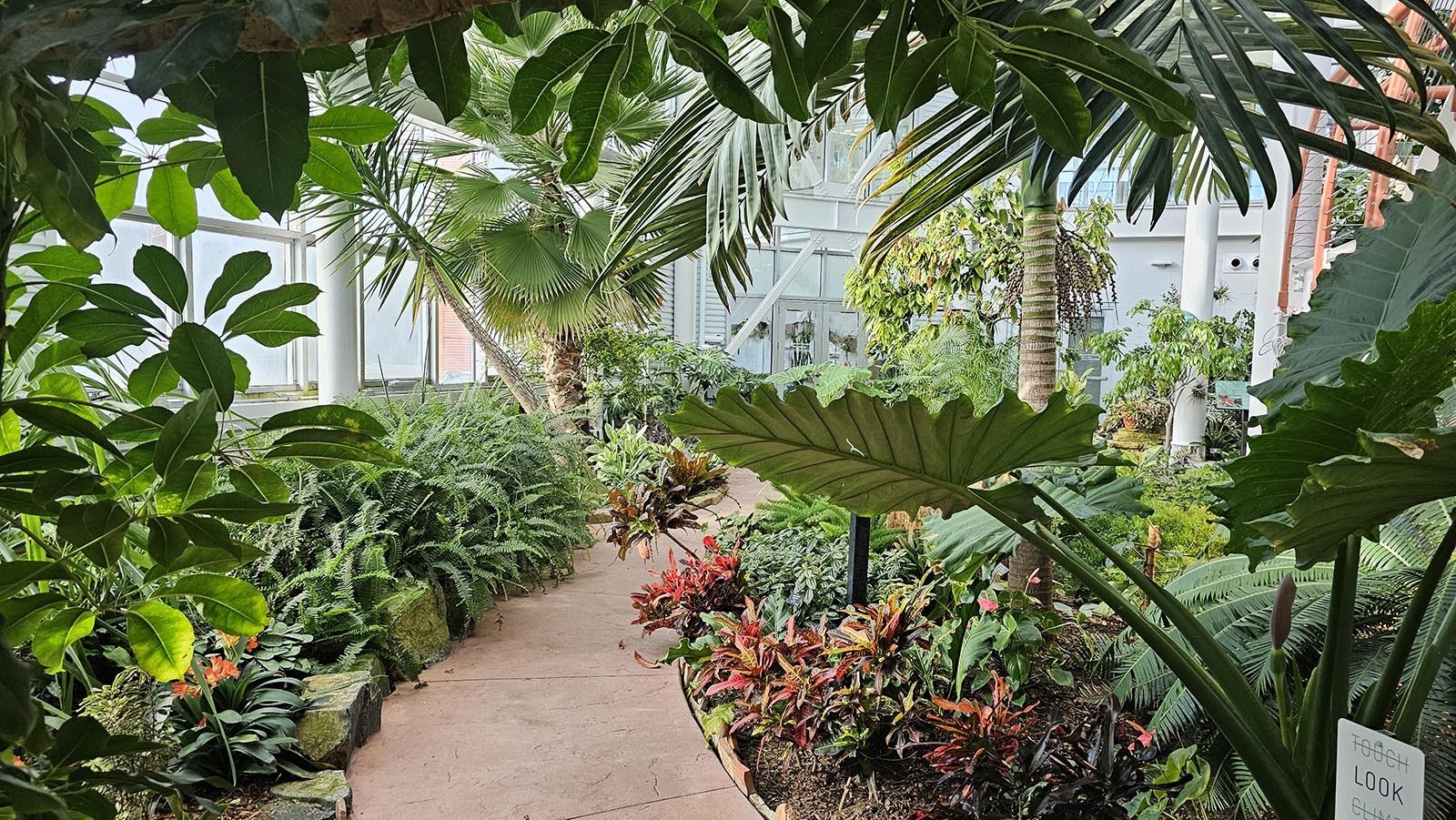 The handicap-accessible walkway beckons visitors to come in out of winter and explore Wyoming's only year-round tropical paradise.