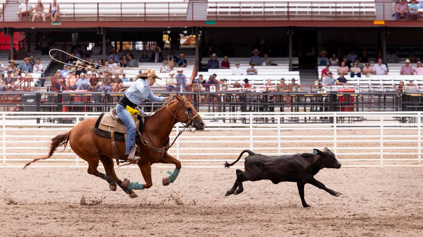 Abbea Faris from Lucerne, CO, originally from Laramie, WY in the breakaway roping at the Cheyenne Frontier Days Rodeo on Tuesday, July 21.