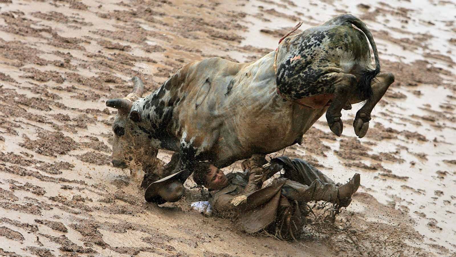 A bull takes its rider through a sloppy mess in the arena at the Cheyenne Frontier Days Rodeo during a rainstorm in this file photo.