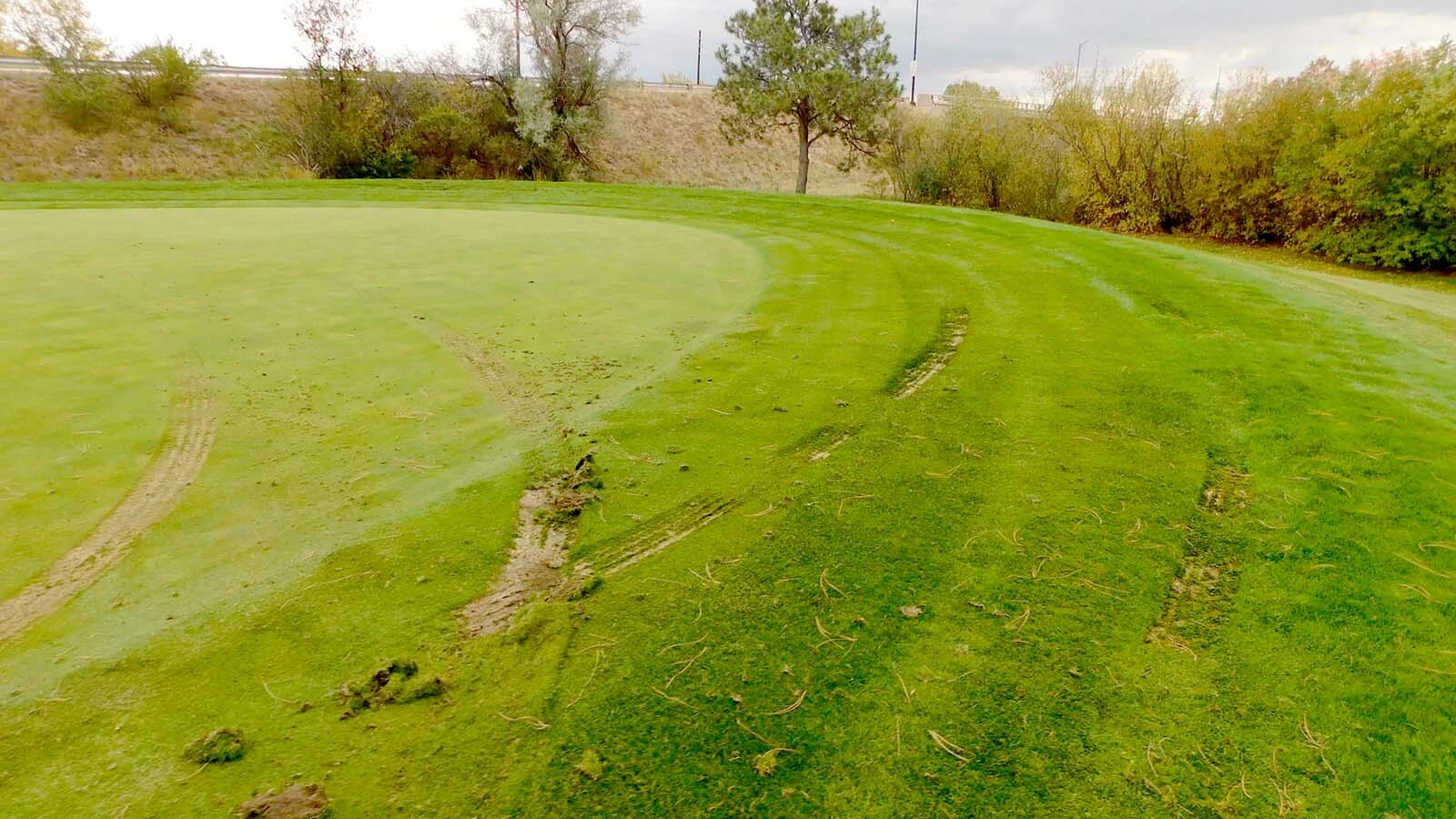 Gust Martinez Jr. of Denver is accused of tearing up the golf course at Cheyenne Country Club in his pickup, then leading police on a slow-speed pursuit to historic downtown.
