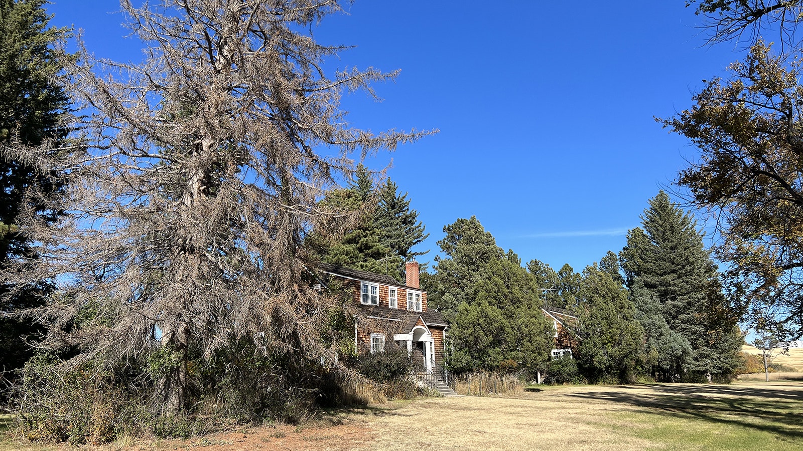 Some of the Cheyenne area's oldest trees are still growing near some of the city's oldest homes near the High Plains Arboretum.