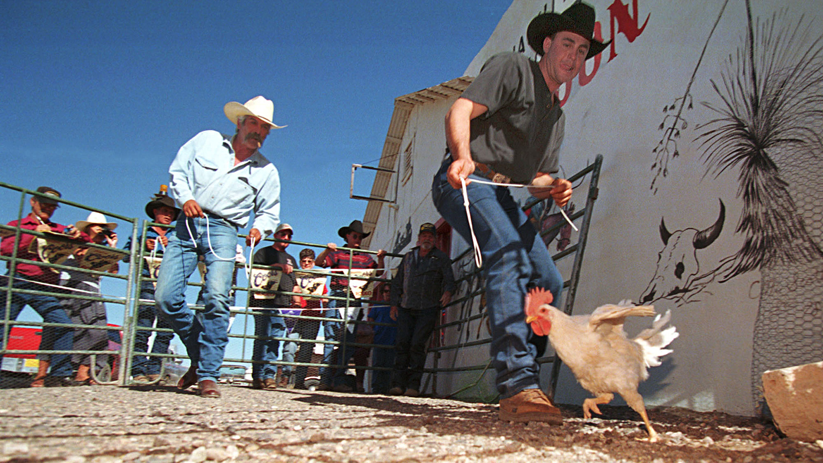 Chicken roping 1 17 23