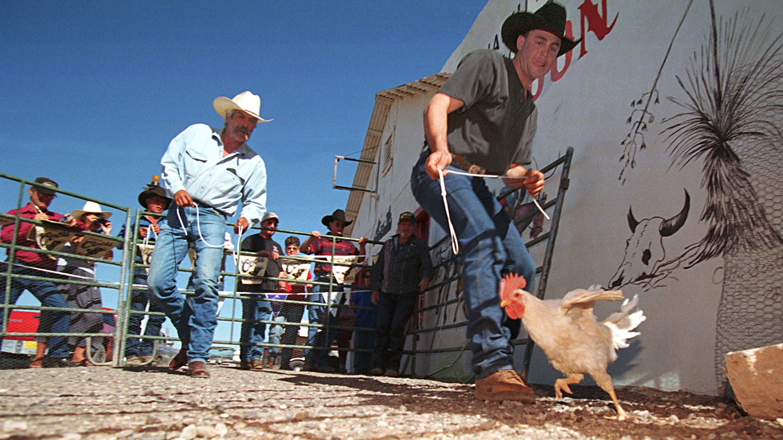 Chicken roping 1 17 23