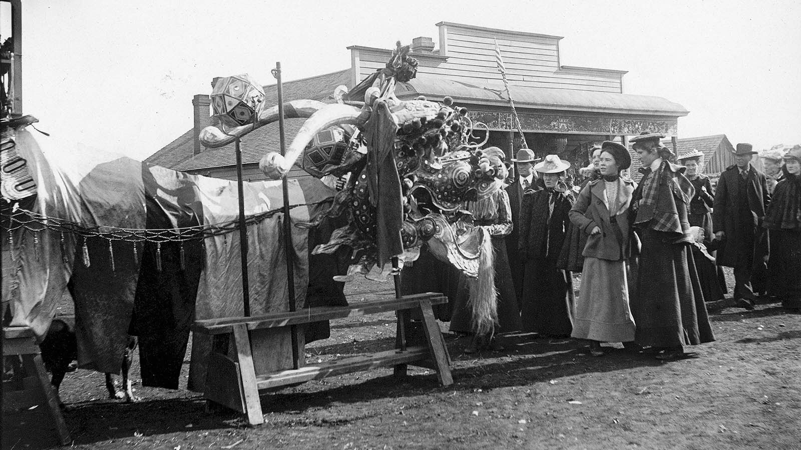 A Chinese dragon used during a celebration.