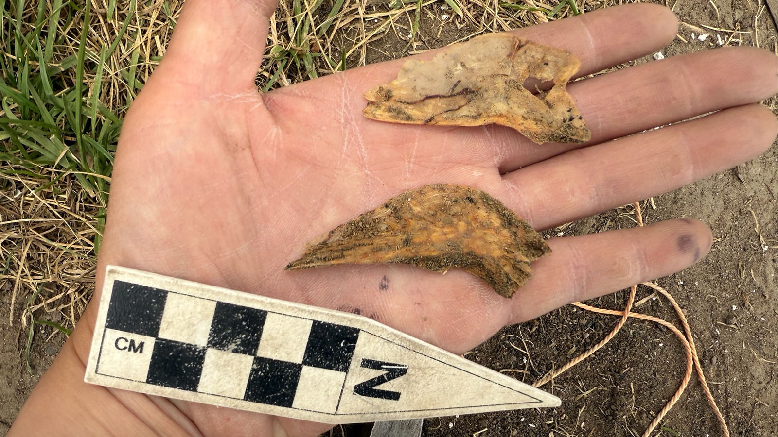 Even tiny shards of animal bone or ceramics can yield important clues about day-to-day life.