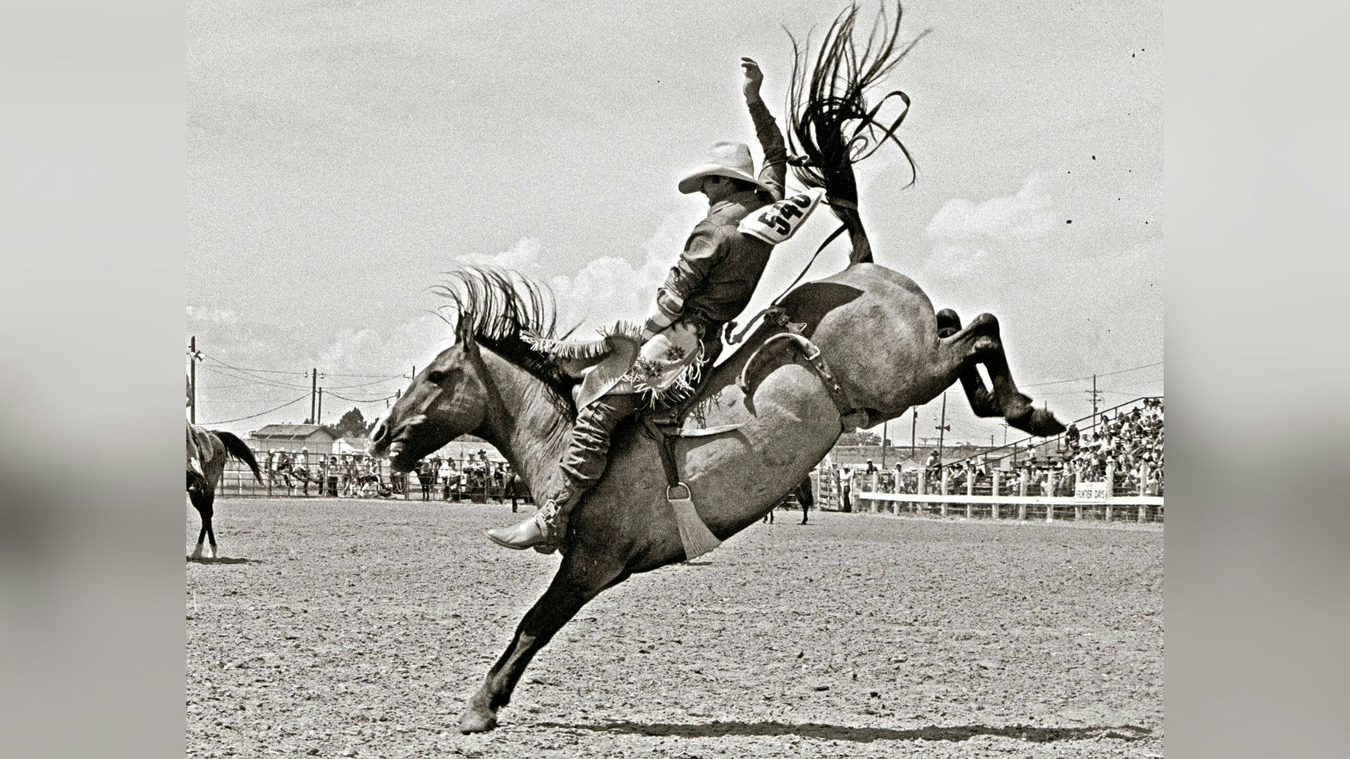 Randy Wagner was well known for his rodeo photography, like this shot of Chris Ledoux.