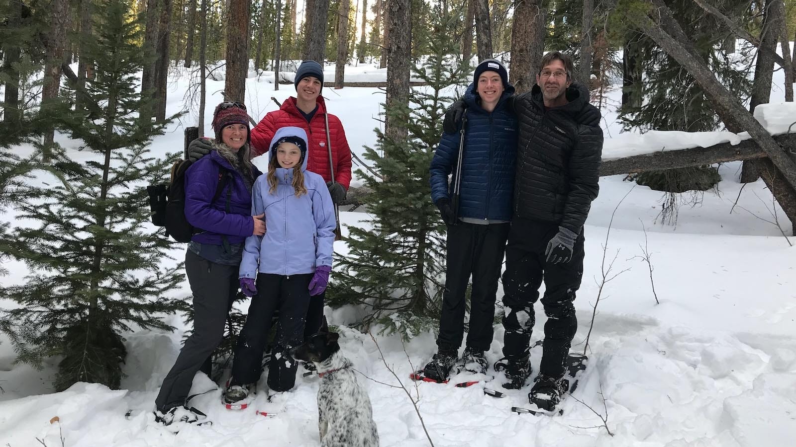 Every year for the past 17 years, the Williams family of Laramie has gone into the Snowy Range Mountains to find and cut their own Christmas tree.