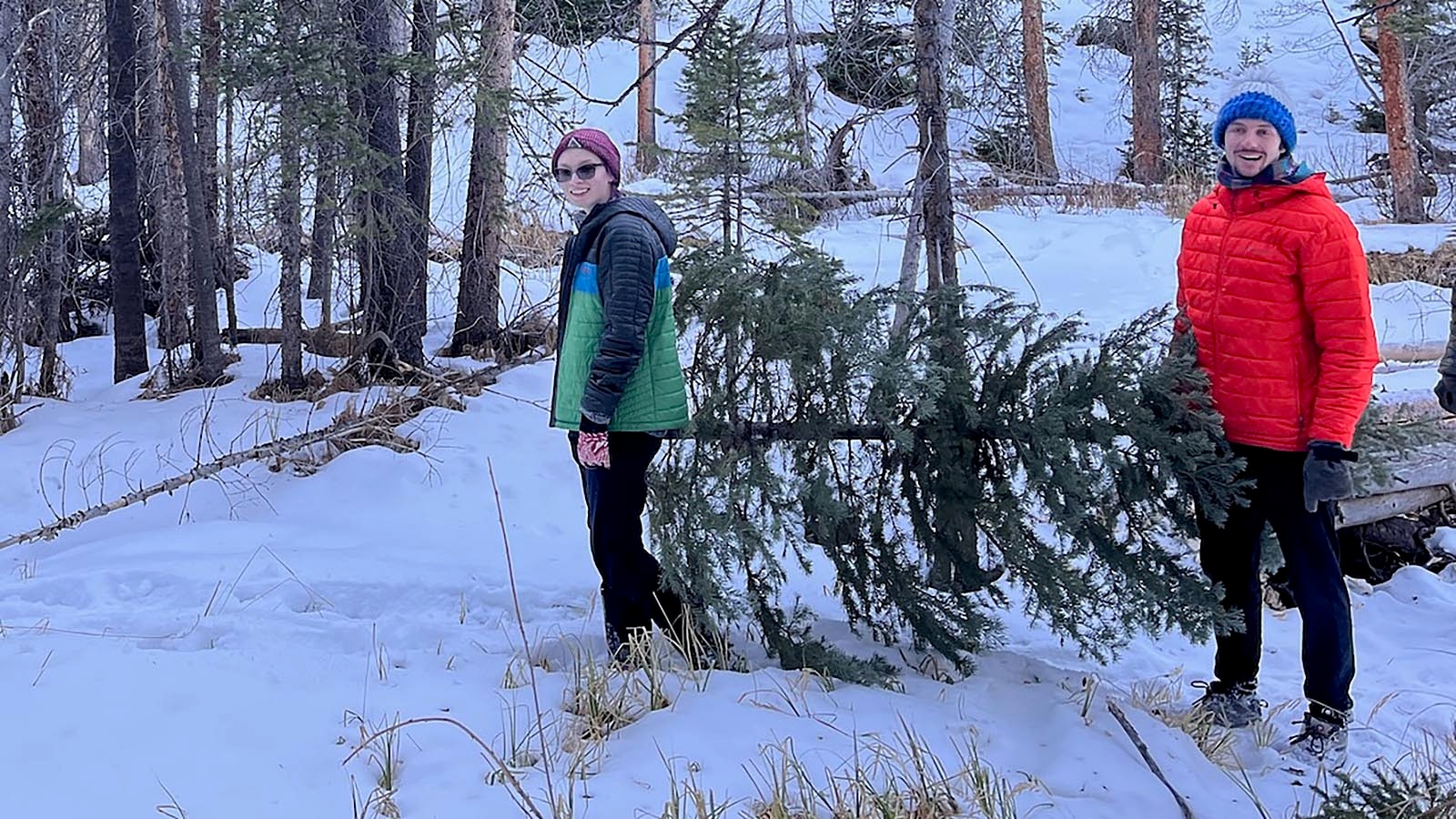 Every year for the past 17 years, the Williams family of Laramie has gone into the Snowy Range Mountains to find and cut their own Christmas tree.