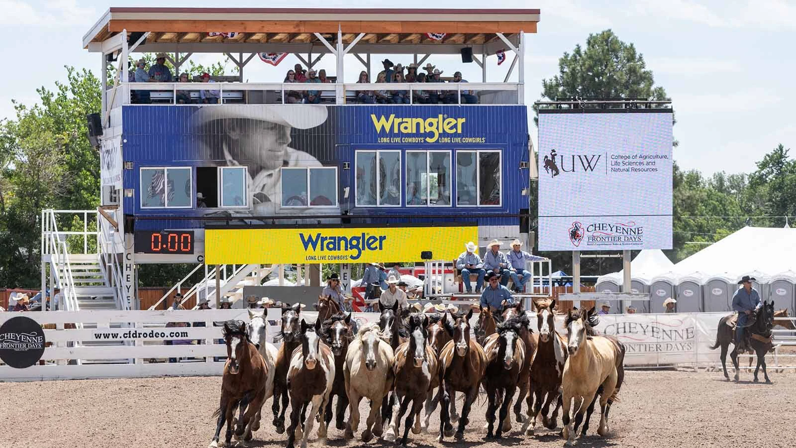 The old Chute 9 during its final run at the 2025 Cheyenne Frontier Days.