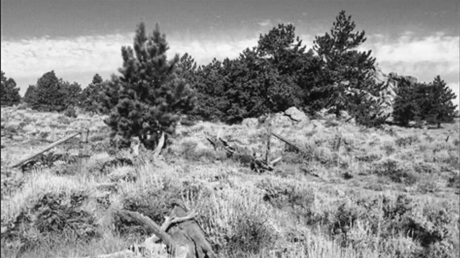 This is a distant view of area in which Willie Nickell was shot in 1902. 100 years later, Clay Gibbons reenacted the murder on the same spot.