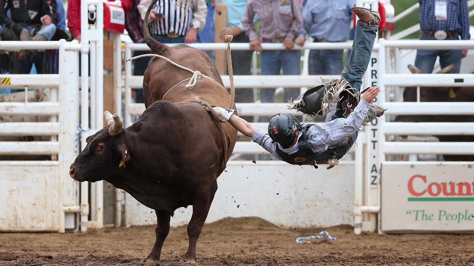 Clayton Savage is thrown from a bull during the Prescott Frontier Days rodeo in Arizona in 2014.