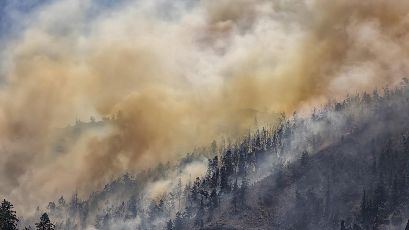 The Clearwater fire burns in the Shoshoni National Forest near the East Entrance to Yellowstone National Park.