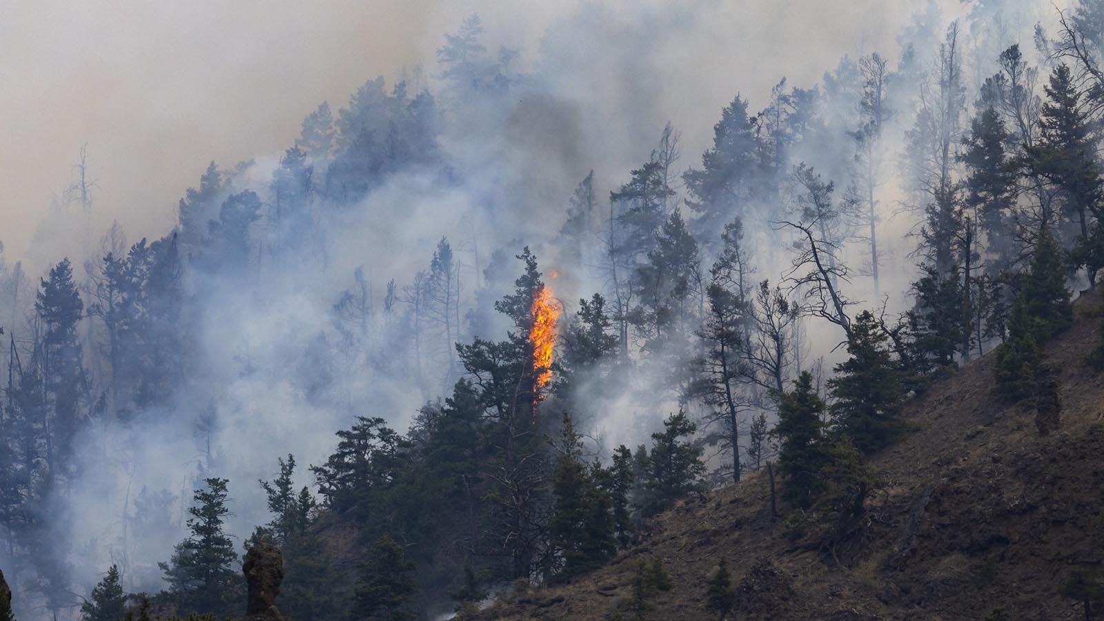 The Clearwater fire burning in the Shoshoni National Forest east of Yellowstone and near Wapiti, Wyoming.