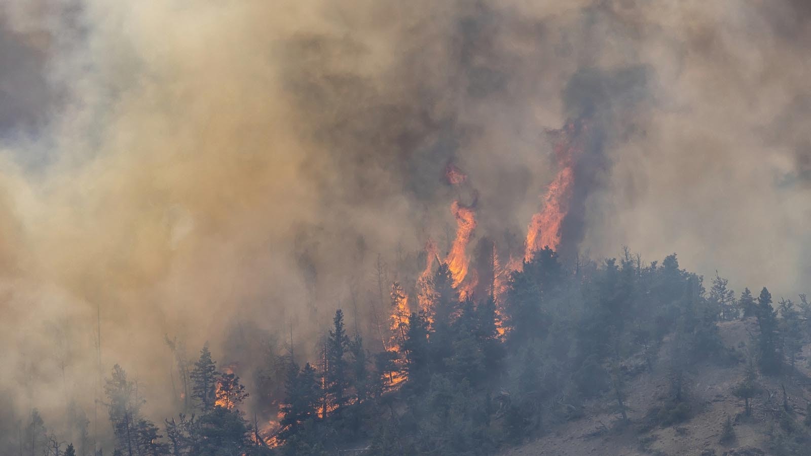 The Clearwater fire burns in the Shoshoni National Forest near the East Entrance to Yellowstone National Park.